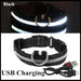 Stay Safe at Night: Best LED Glowing Dog Collars (Rechargeable & Waterproof!)-Deal Finds Daily