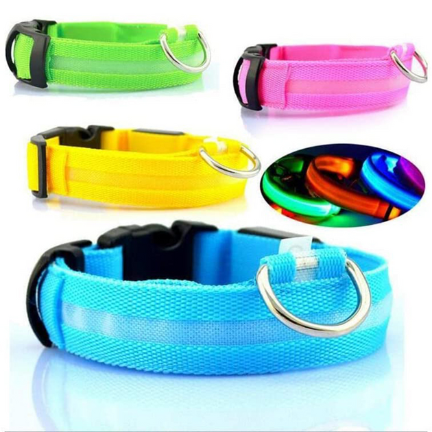 Stay Safe at Night: Best LED Glowing Dog Collars (Rechargeable & Waterproof!)-Deal Finds Daily