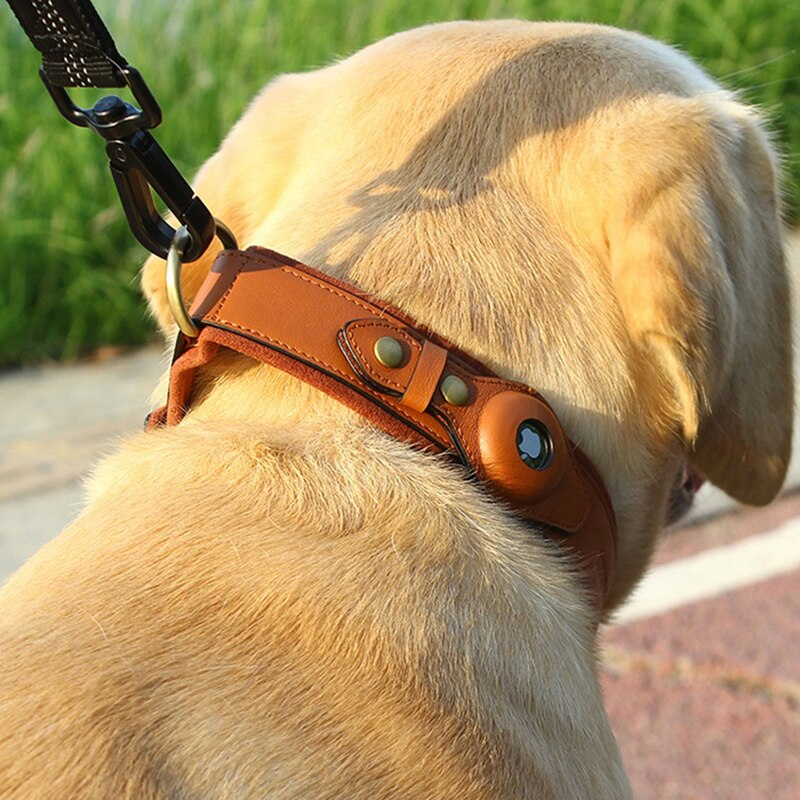 Leather AirTag Dog Collar-Deal Finds Daily