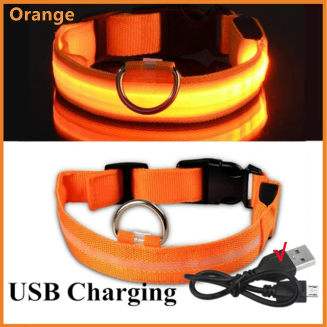 Stay Safe at Night: Best LED Glowing Dog Collars (Rechargeable & Waterproof!)-Deal Finds Daily