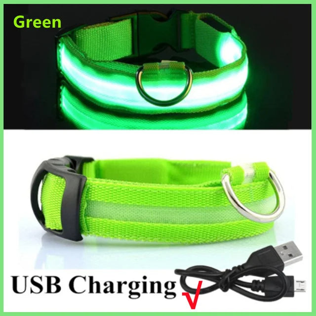 Stay Safe at Night: Best LED Glowing Dog Collars (Rechargeable & Waterproof!)-Deal Finds Daily