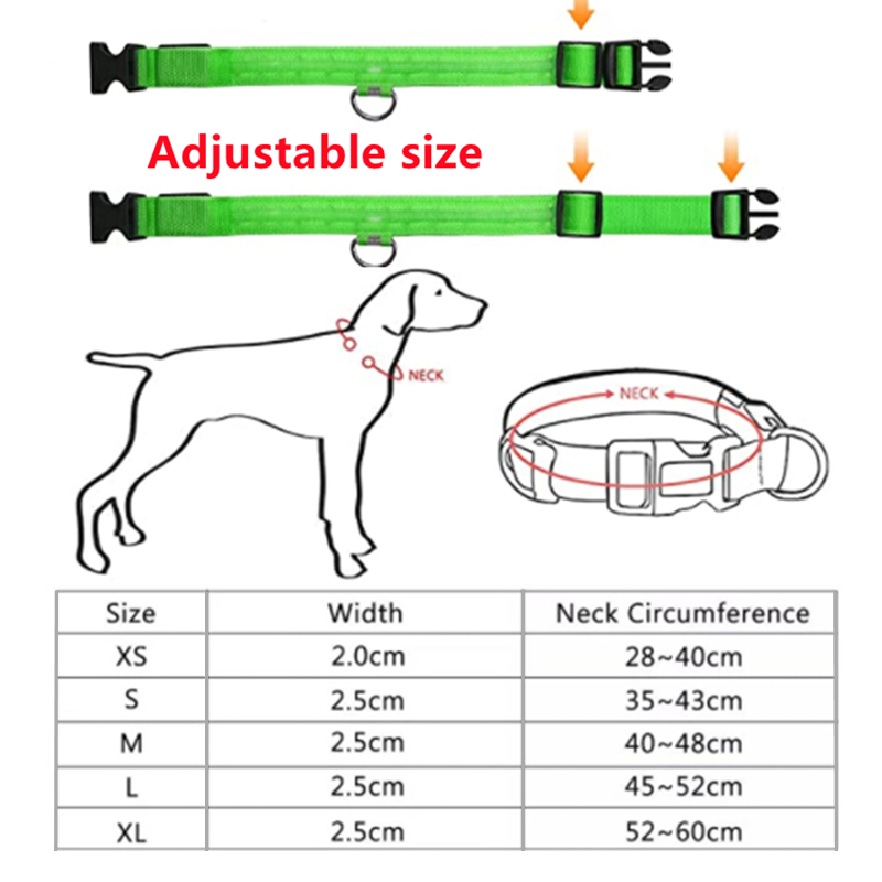 Stay Safe at Night: Best LED Glowing Dog Collars (Rechargeable & Waterproof!)-Deal Finds Daily