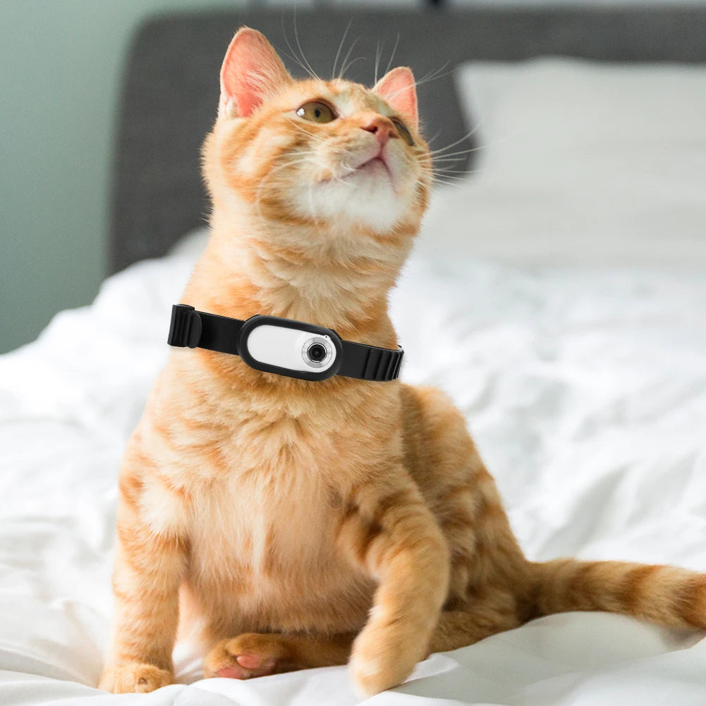 Camera Collar for Cats & Dogs – See the World Through Their Eyes-Deal Finds Daily