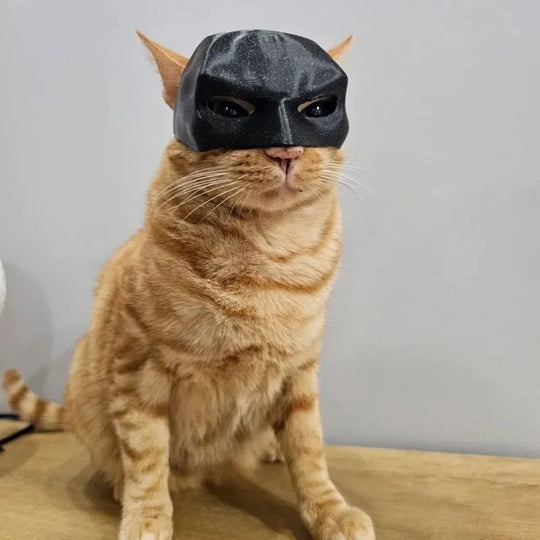 Cat Bat Mask-Deal Finds Daily