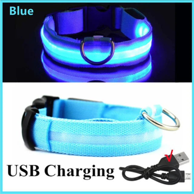 Stay Safe at Night: Best LED Glowing Dog Collars (Rechargeable & Waterproof!)-Deal Finds Daily