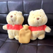 Plush Bear with Hot Water Bag-Deal Finds Daily